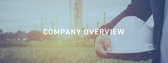 COMPANY OVERVIEW