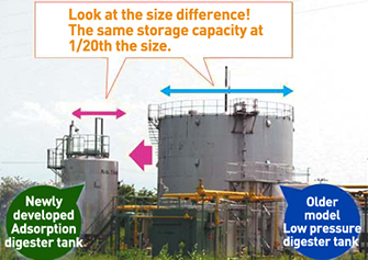 Biogas purification and adsorption storage system