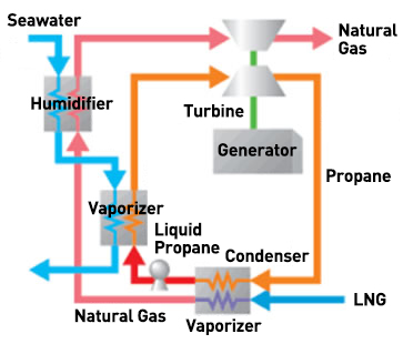 Process Overview